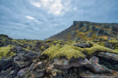 ti-20191027205740-ac5_7039