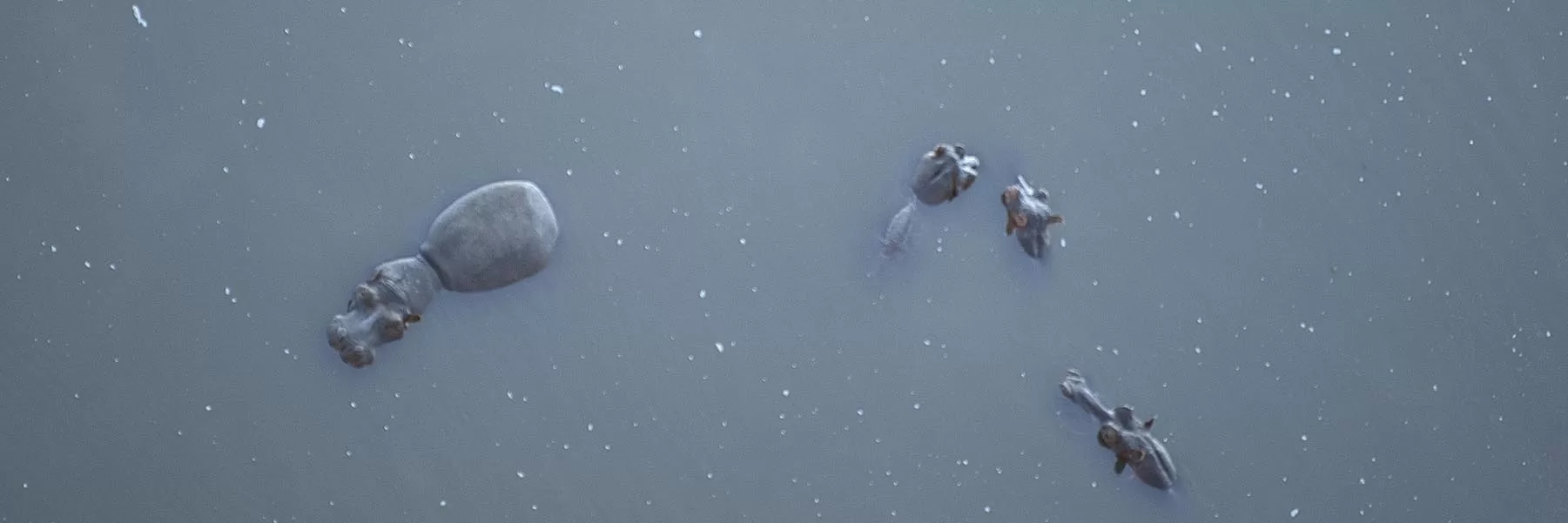 Famous Rivers of Africa