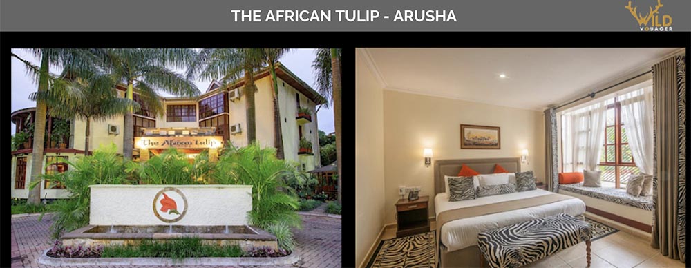 tanzania experience at the african tulip
