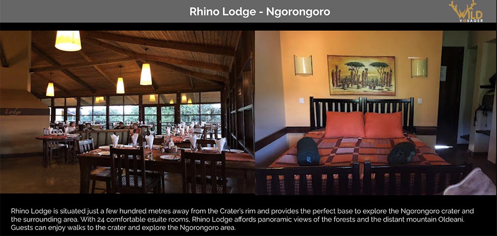 stay in rhino lodge ngorongoro during tanzania wildlife safari