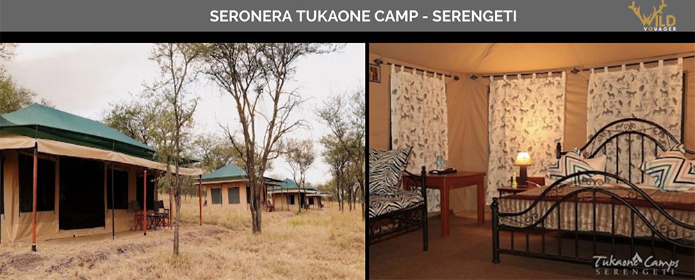 stay in tukaone camp during tanzania wildlife safari