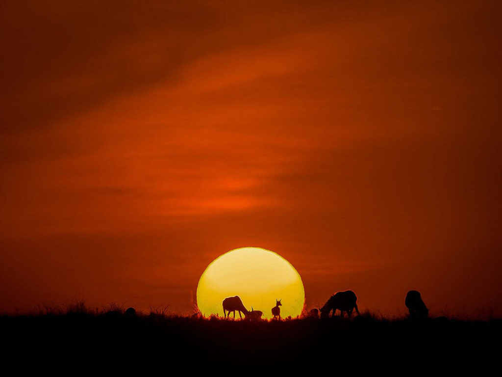 Sundowner in the bush