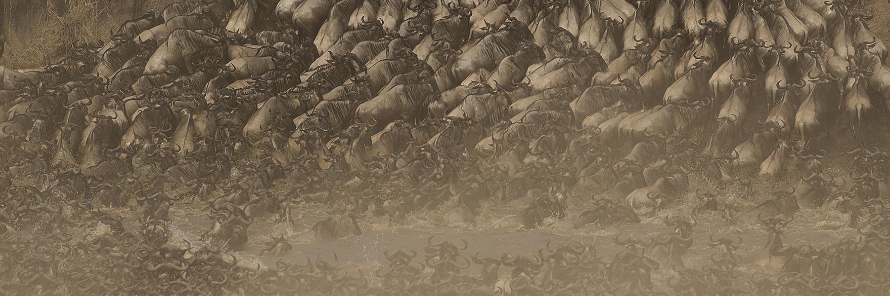 Masai Mara Migration safari Experience 