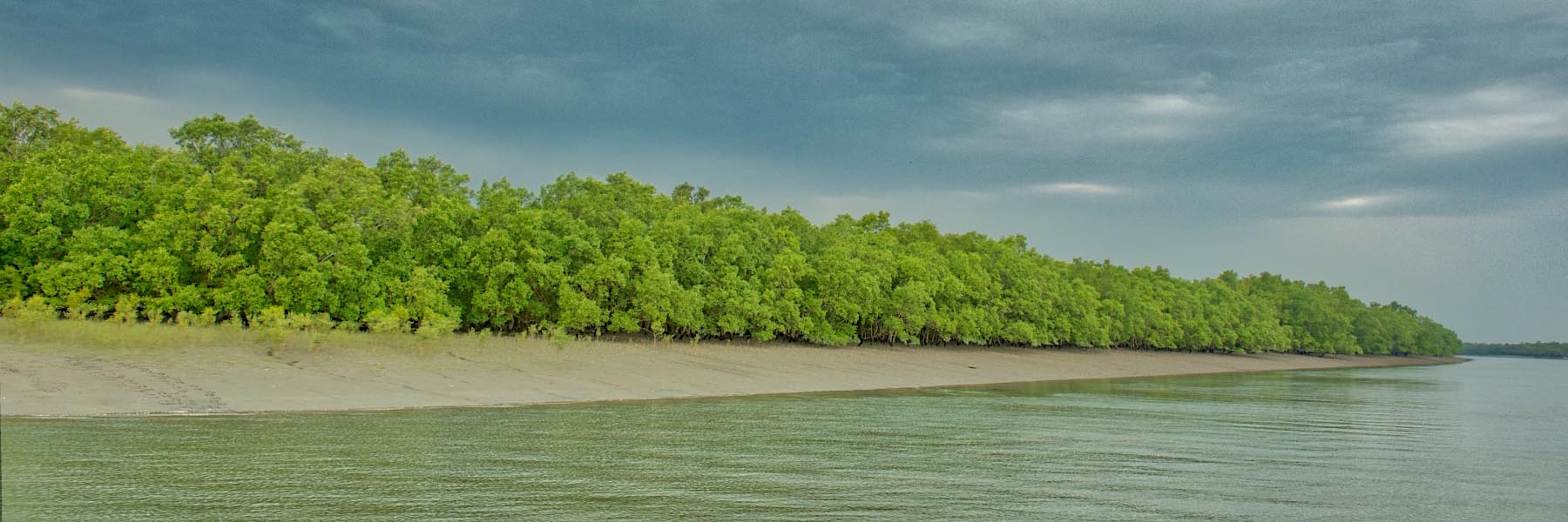 Sundarban National Park