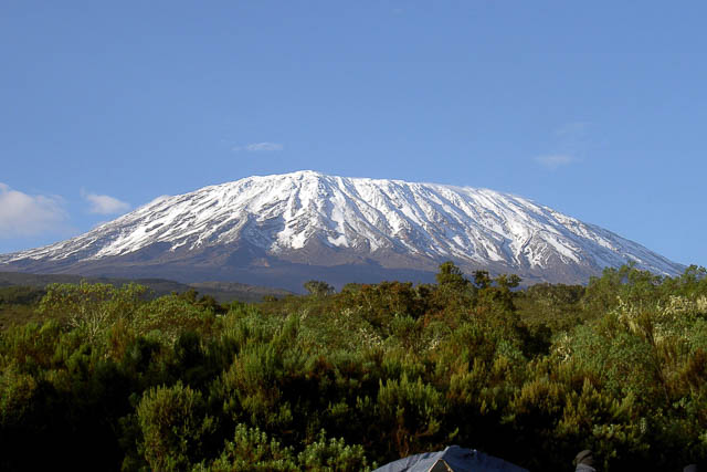 green surrounding in front of snow capped mount kilimanjaro, tanzania