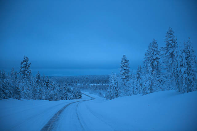 road covered in snow between jungles in kittila