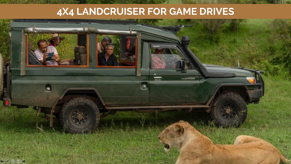 game drives at masai mara safari