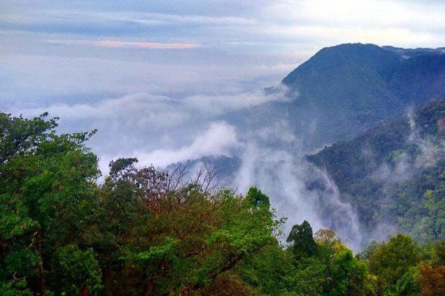 Agumbe rainforest amidst clouds in Karnataka India