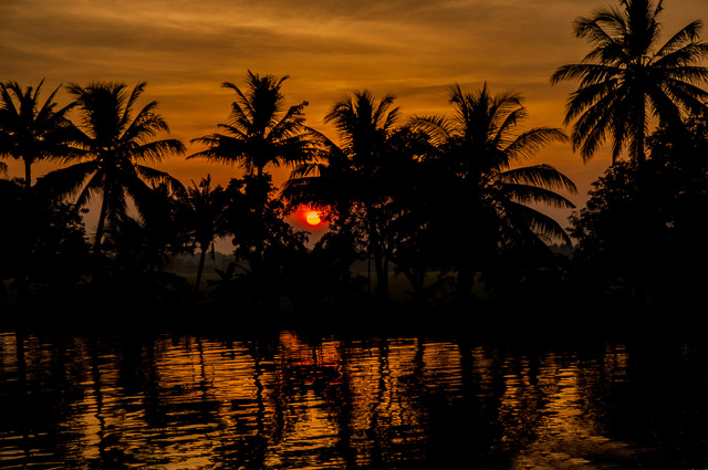 reddish sunset behind coconut trees beside backwaters of Alappuzha Kerala India