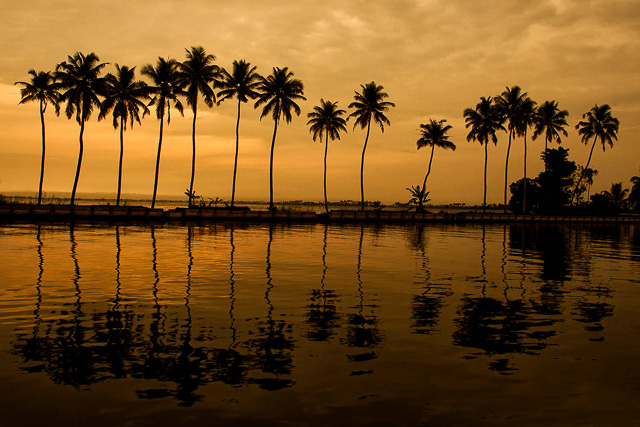 reflection of golden sky and coconut trees on the backwaters Alappuzha Kerala India