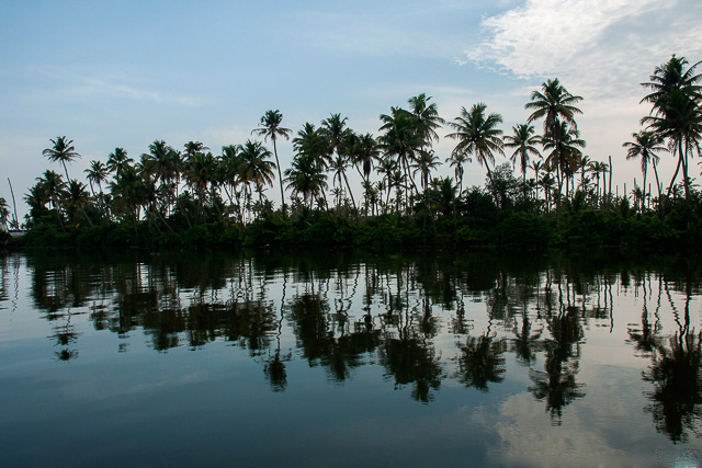 coconut trees and clear blue sky reflection on backwaters Alappuzha Kerala India