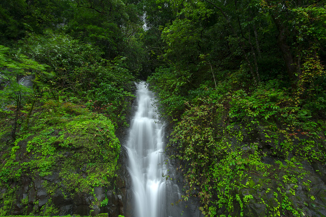 one among many waterfalls in amboli hills maharashtra india