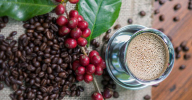 coffee beans near a small pot filled with coffee Chikmagalur Karnataka India