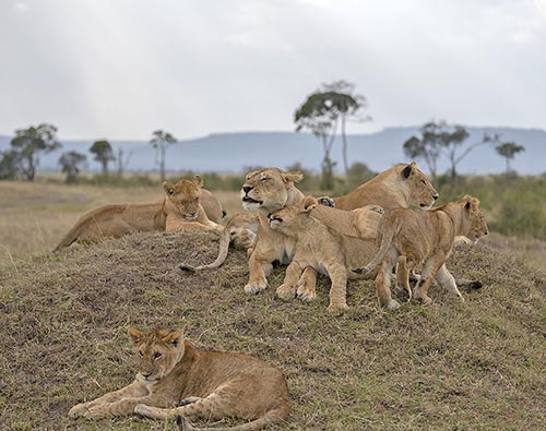 Arusha National Park tour