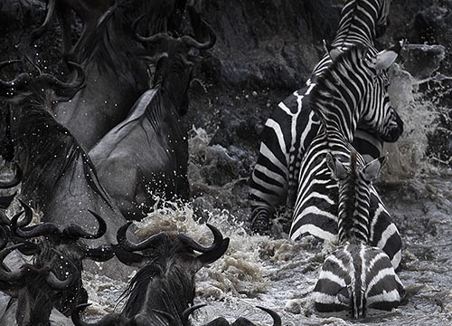 Kenya Group Tours