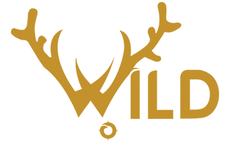 Wildvoyager