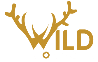 Wild Voyager
