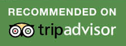 Trip Advisor