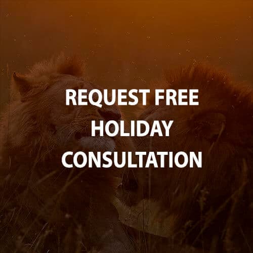 Request free holiday consultation
