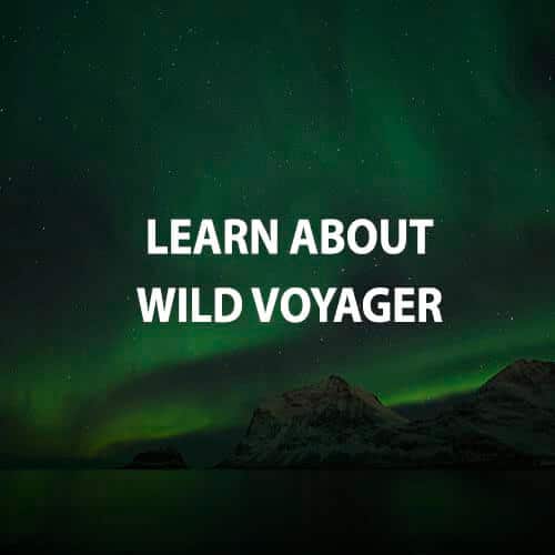 Learn about Wildvoyager