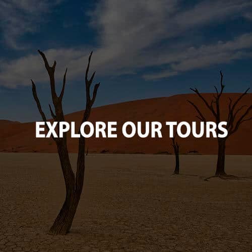 Explore our tours
