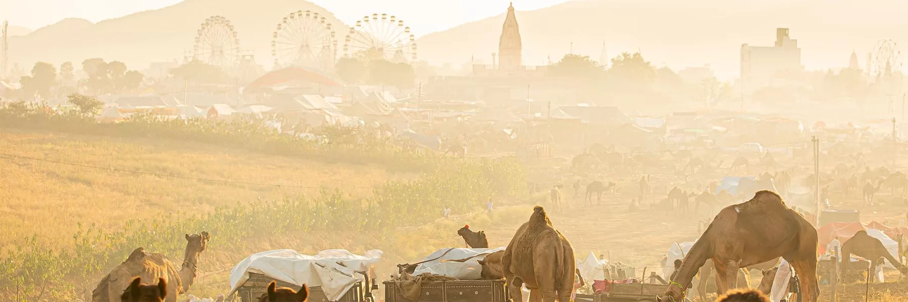 All about pushkar fair