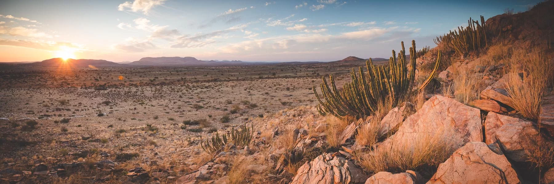 All about Kalahari Desert