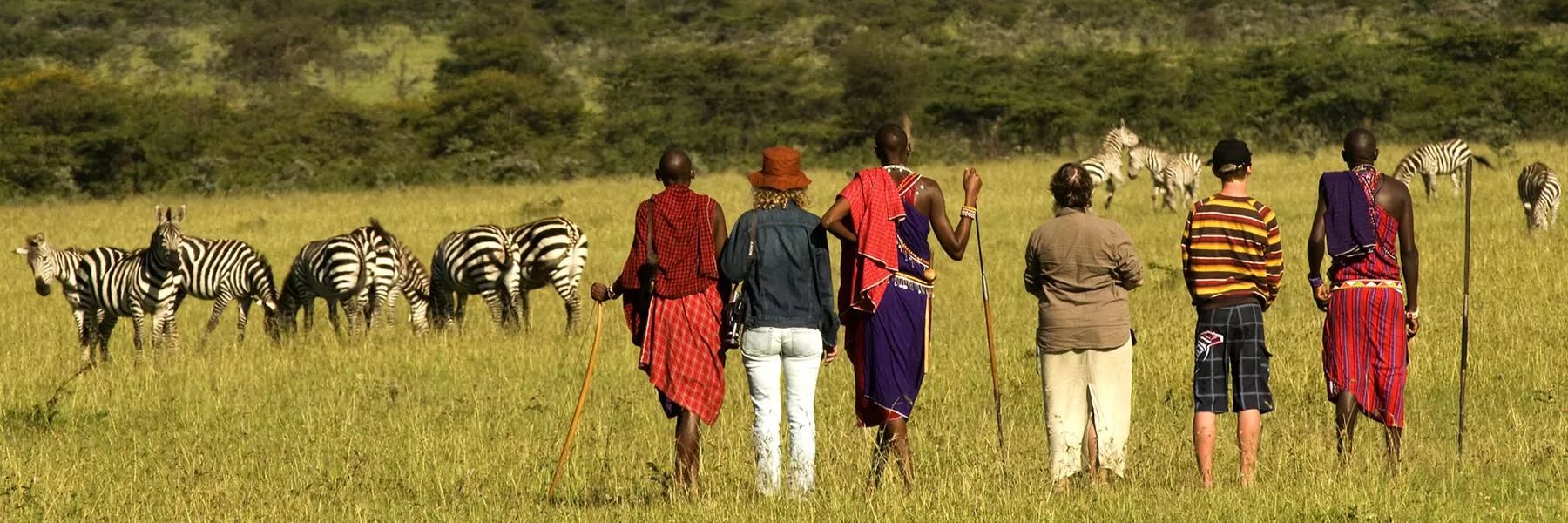 Where to do walking safari in Africa