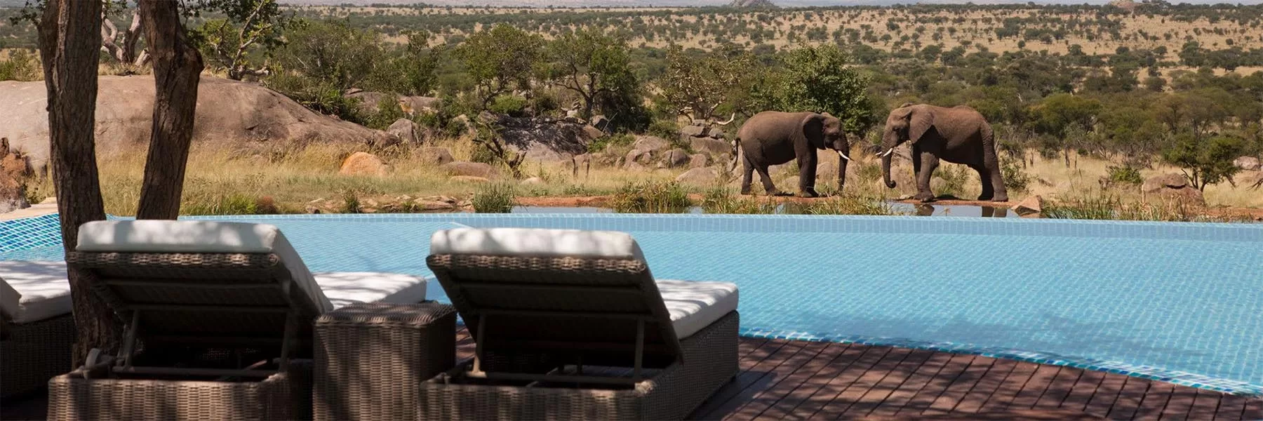 Top hotels of Serengeti national park
