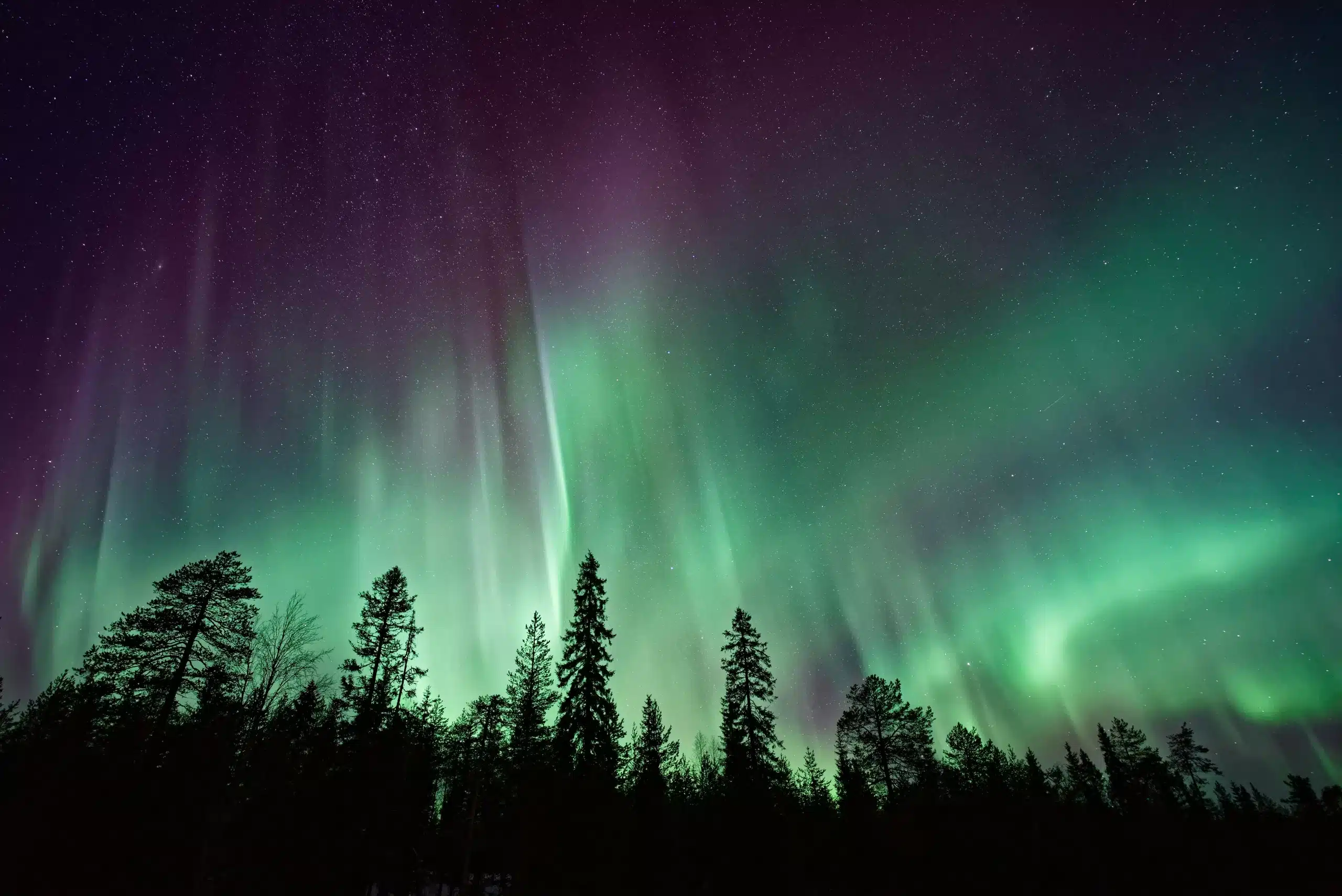 Aurora Dance