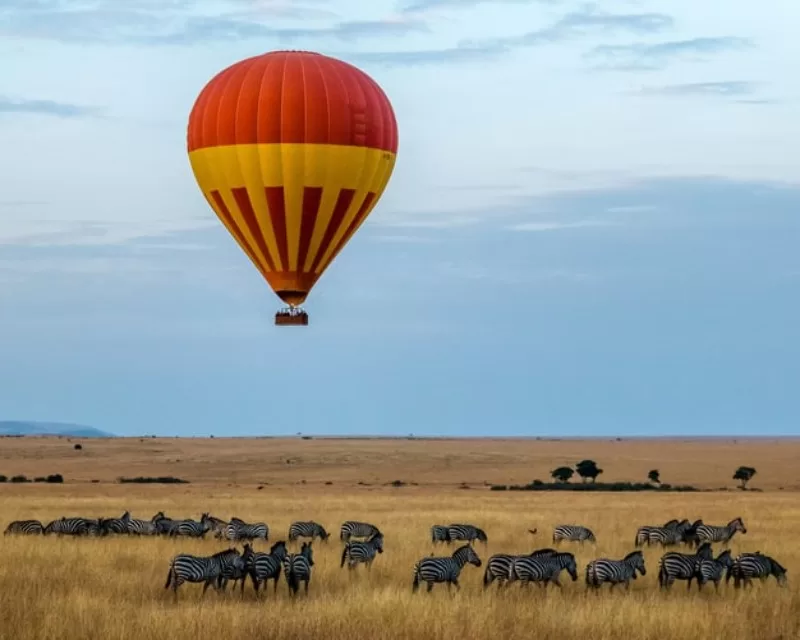 Masai MaraKenya