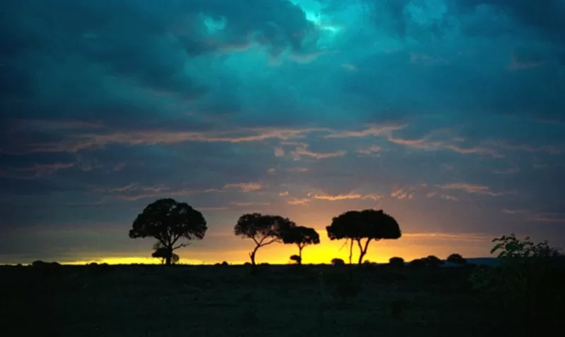Masai Mara Sunset