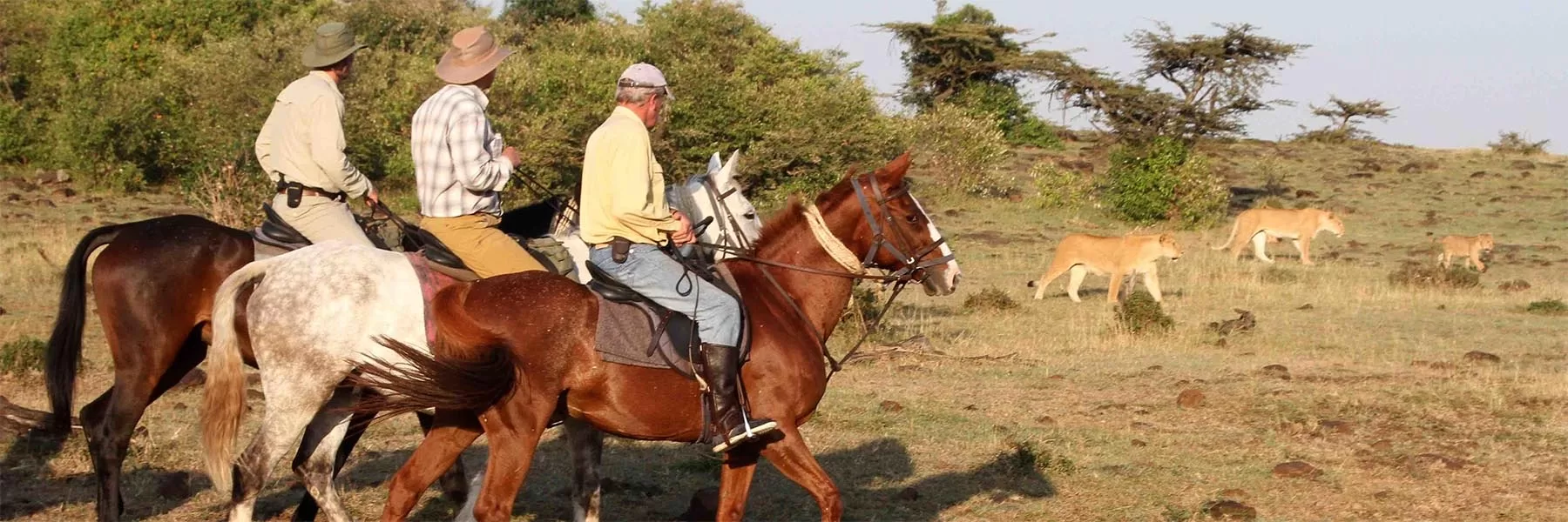 Horse riding safaris in Maasai Mara