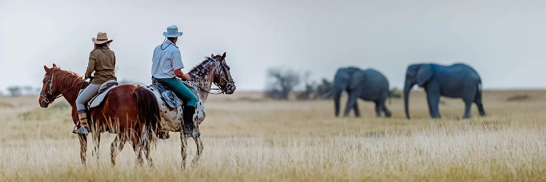 Horse Riding In Tanzania