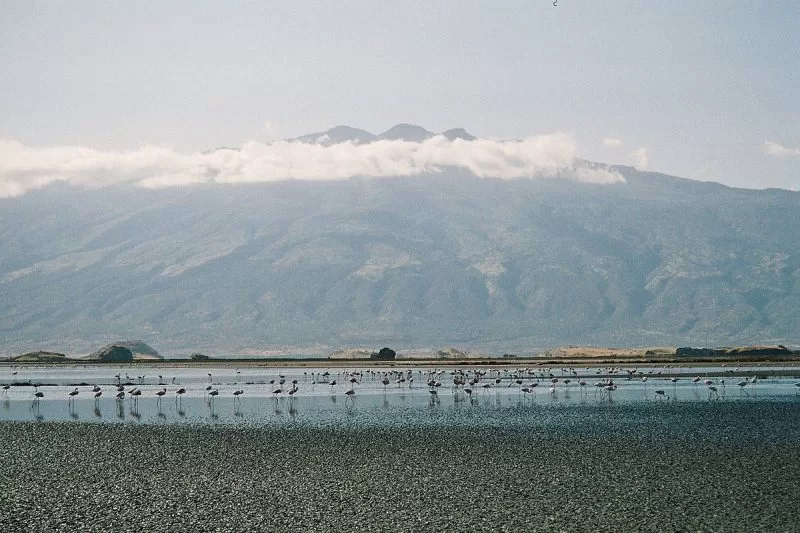 Lake Natron