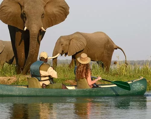 Arusha National Park tour