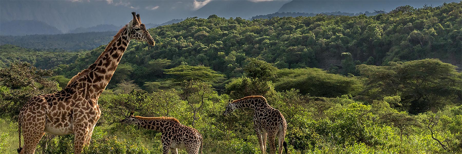 Arusha National Park