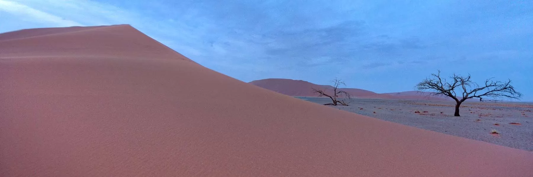 Travel to thar desert, kalahari desert, namib desert and sahara desert 