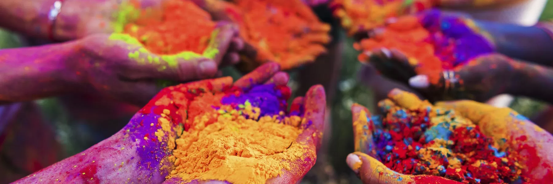 See a festival in India