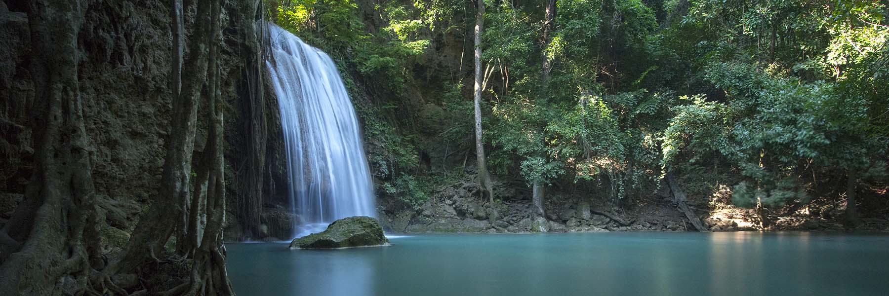 Birdwatching in Thailand