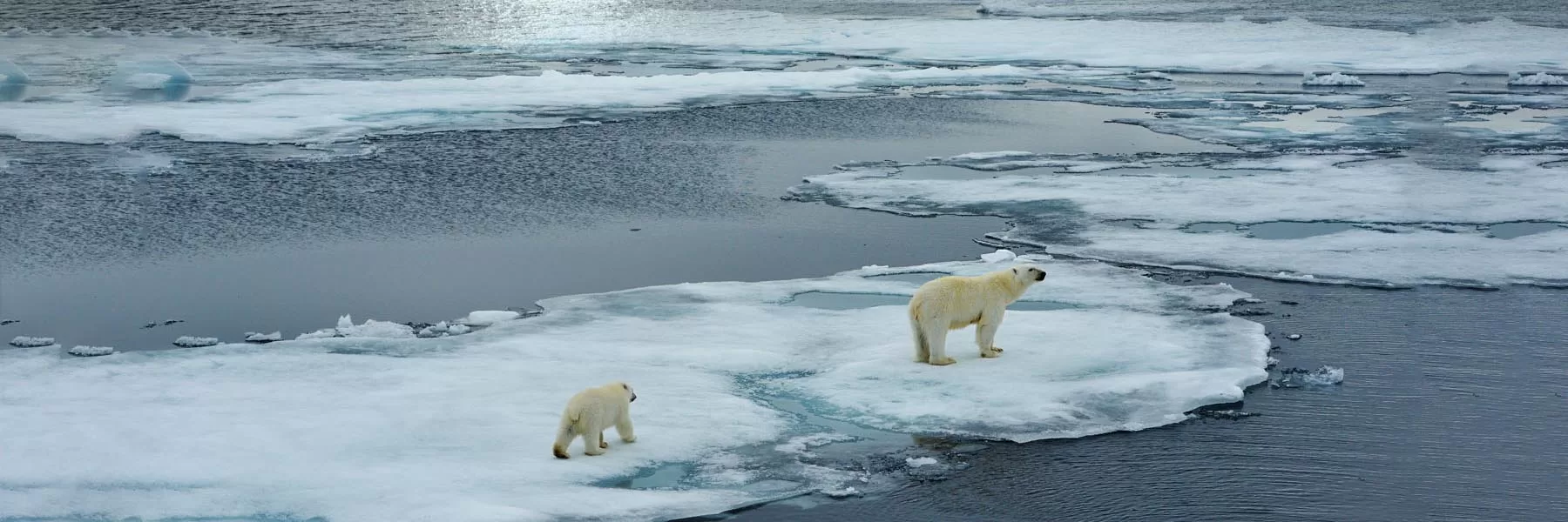 Svalbard tour