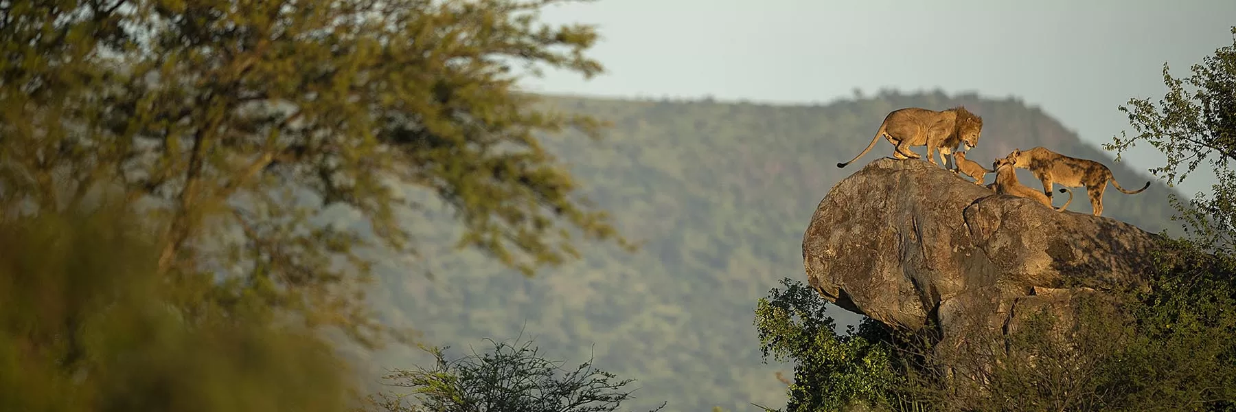 Serengeti National Park
