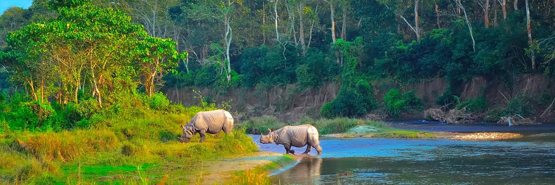 Chitwan National Park