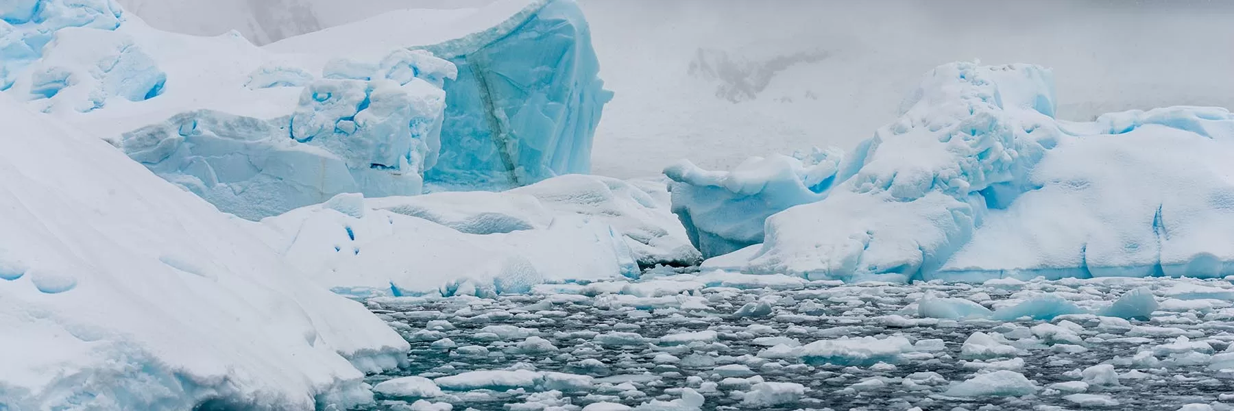 Antarctica cruise