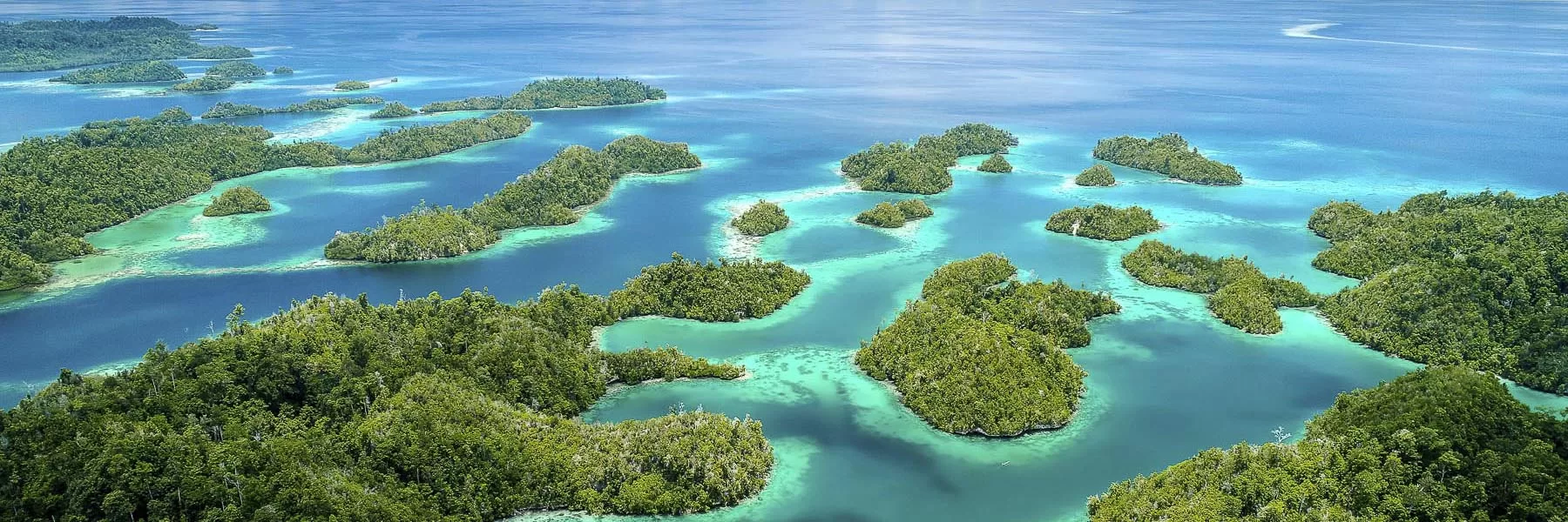 raja ampat tour packages