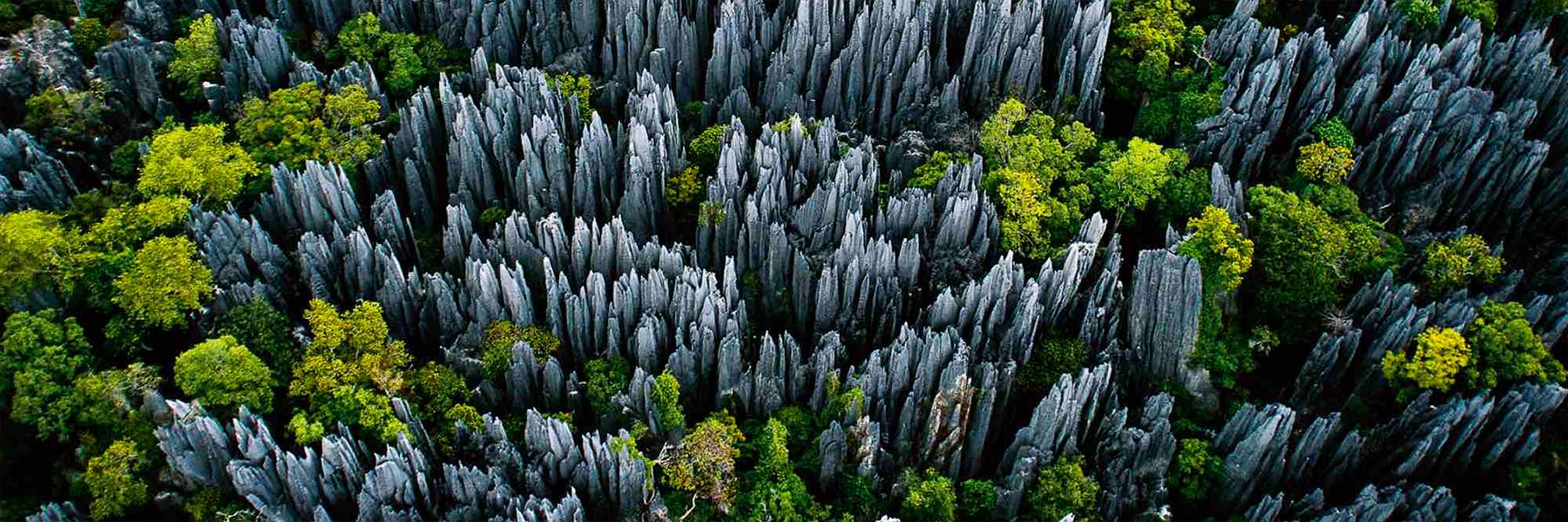 Tsingy de Bemaraha National Park
