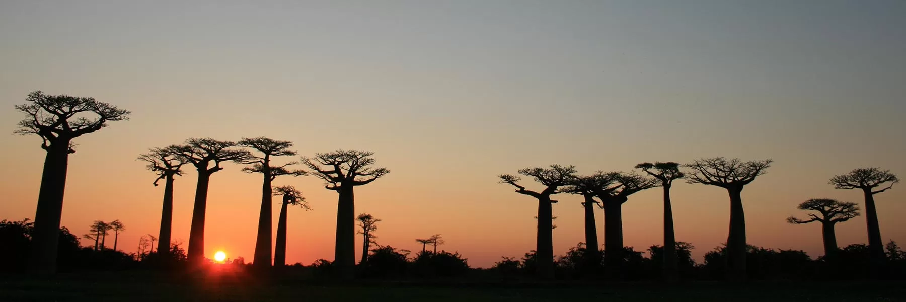 Morondava