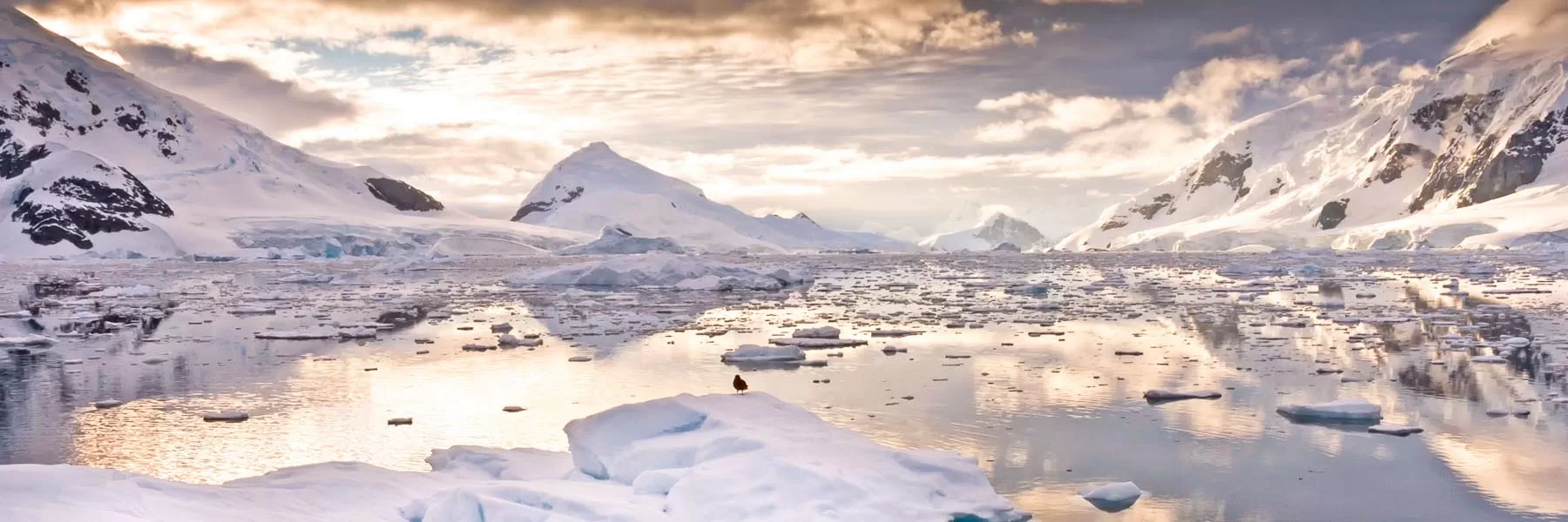 Antarctica Mainland