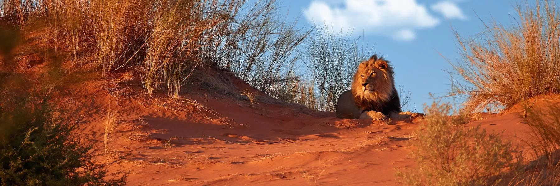 Central Kalahari Game Reserve