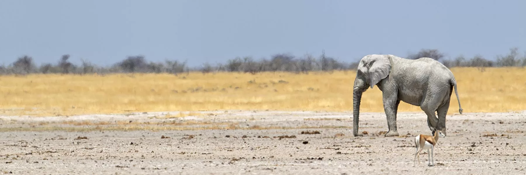 Nxai Pan National Park